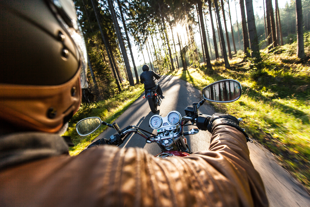 pair of motorcycle riders traveling through a forest